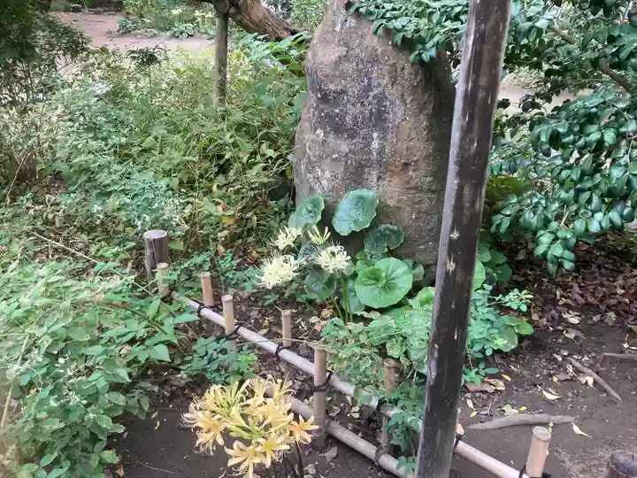 宝戒寺(神奈川県)