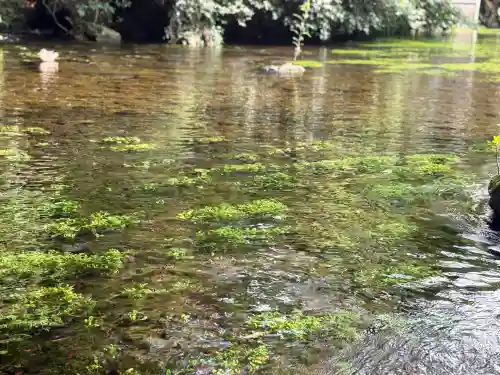 富士山本宮浅間大社(静岡県)