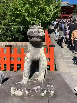 鶴岡八幡宮の狛犬