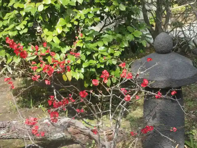 大巧寺(神奈川県)