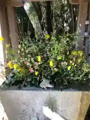 富知六所浅間神社の手水