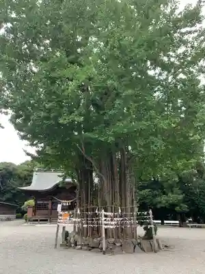 健軍神社(熊本県)