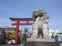 鶴岡八幡宮の狛犬