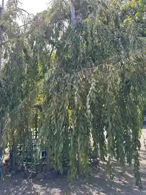 大國魂神社(東京都)
