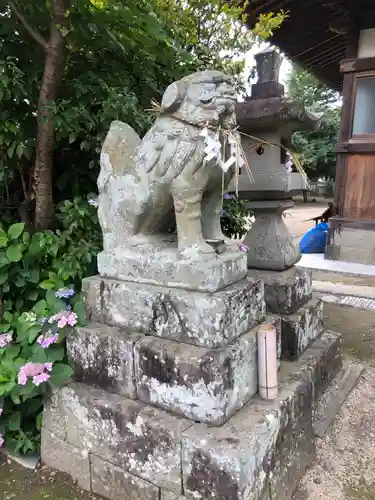 鴨島八幡神社の狛犬