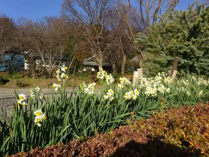 横浜 西方寺の自然