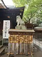 大宮八幡宮の狛犬