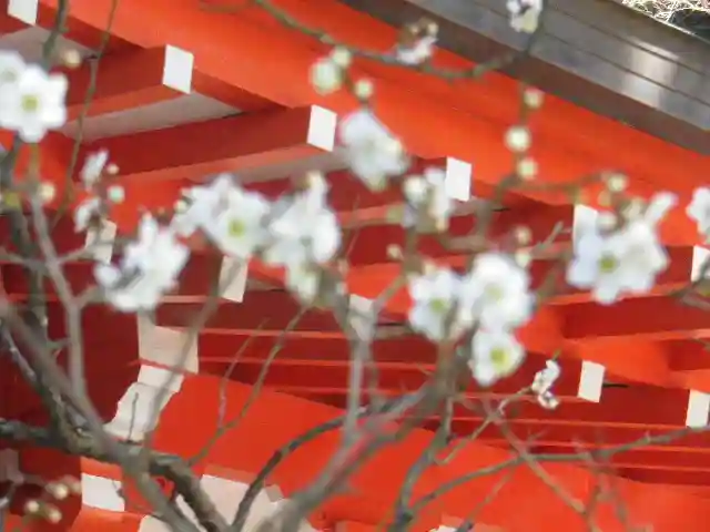荏柄天神社のその他建物