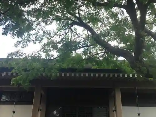 長昌寺のその他建物
