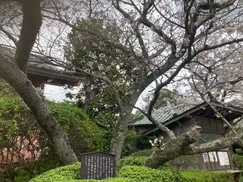 極楽寺（霊鷲山感應院極楽律寺）の自然