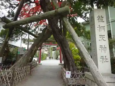 荏柄天神社(神奈川県)