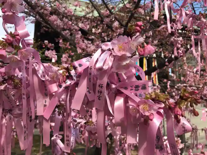 桜神宮のその他建物