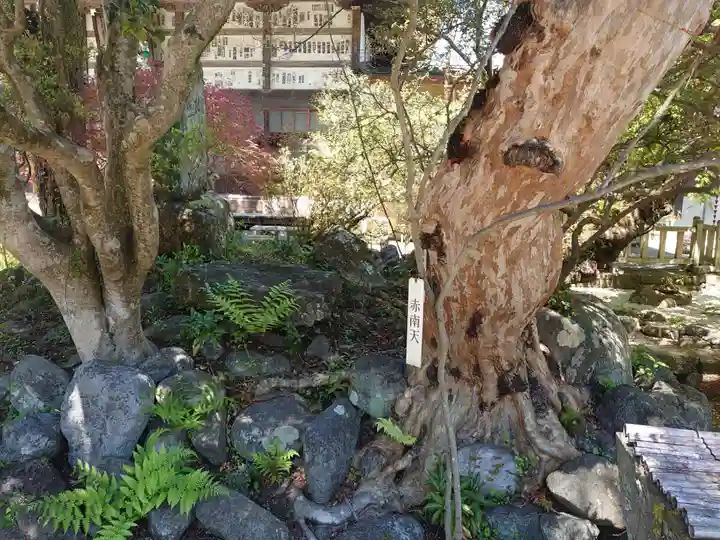 長泉院のその他建物