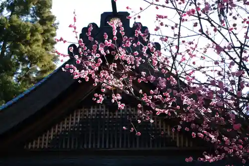 枚岡神社の自然