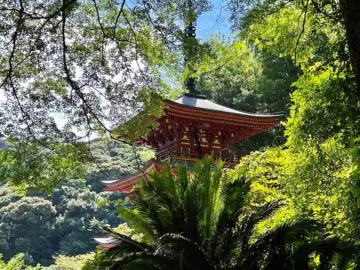 青龍寺(高知県)