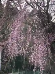 大生郷天満宮の自然