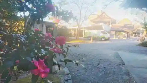 尾張大國霊神社（国府宮）の景色