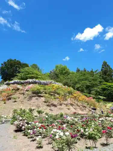 恵光院の庭園