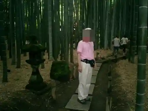 報国寺(神奈川県)