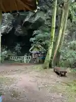 岩戸神社(長崎県)