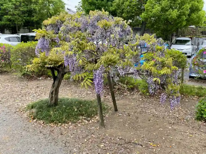 玉敷神社の庭園