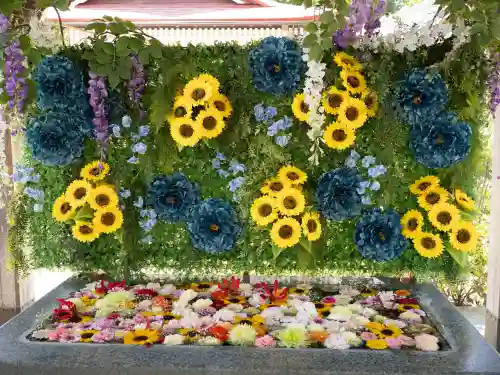 金蛇水神社(宮城県)