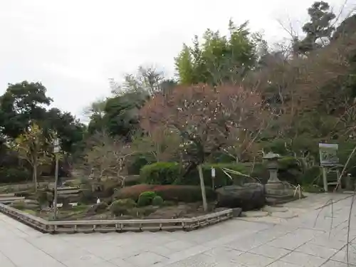 長谷寺の庭園