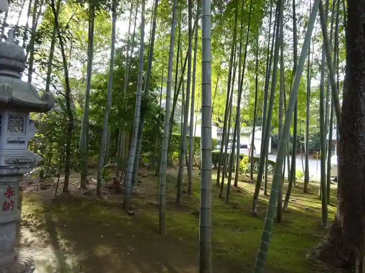 天台宗 長窪山 正覚寺の自然