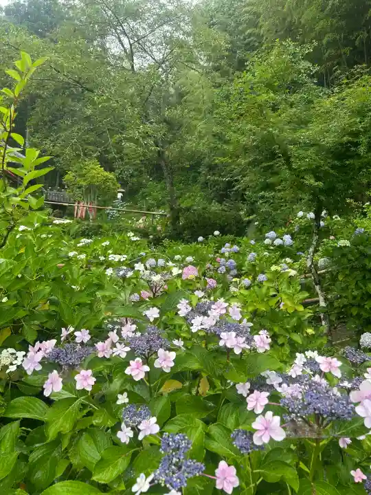 極楽寺(静岡県)