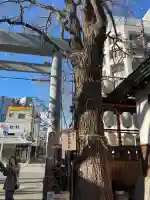 波除神社(波除稲荷神社)の{uncategorized: "未分類", other: "その他", undefined: "問題あり", building: "その他建物", grave: "お墓", sacred_gate: "鳥居", guardian: "狛犬", statue: "像", buddha: "仏像", history: "歴史", nature: "自然", garden: "庭園", animal: "動物", pagoda: "塔", temizu: "手水舎", mountain_gate: "山門・神門", sanctuary: "本殿・本堂", subordinate: "末社・摂社", art: "芸術", scenery: "景色", jizo: "地蔵", ema: "絵馬", goshuin: "御朱印", omikuji: "おみくじ", items: "授与品その他", amulet: "お守り", goshuincho: "御朱印帳", eats: "食事", festival: "お祭り", votive_dance: "神楽", shichigosan: "七五三参", wedding: "結婚式", experience: "体験その他", initially: "初詣", around: "周辺", anti_infection: "感染症対策"}