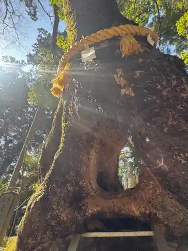 笠森寺(千葉県)