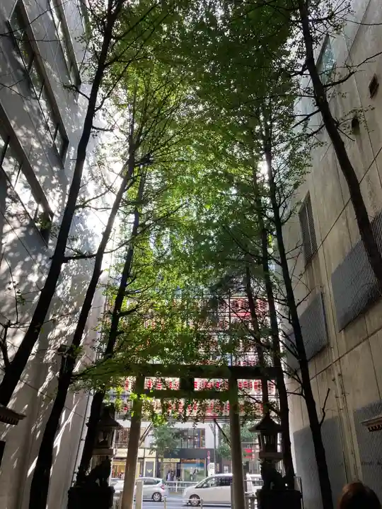 花園神社の自然