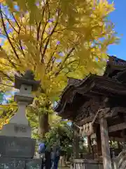 田無神社の鳥居