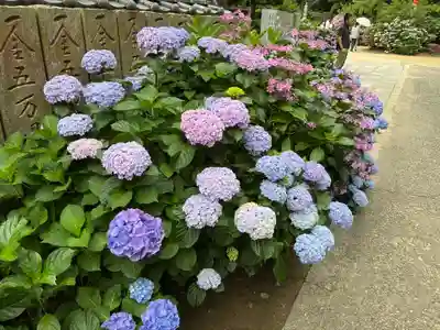 潮明寺(徳島県)