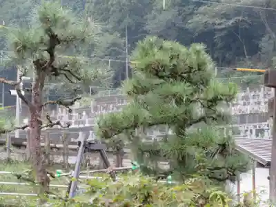 法光寺(埼玉県)