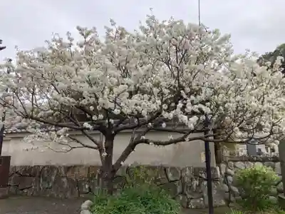 光明寺(神奈川県)