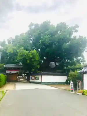 大聖観音寺（あびこ観音）のその他建物