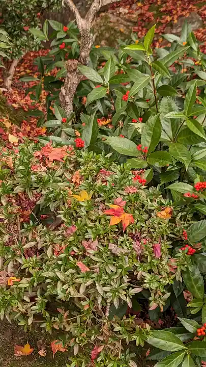 法金剛院(京都府)