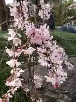 圓照寺(東京都)