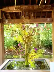 赤坂氷川神社(東京都)