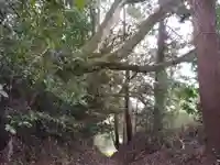 諏訪神社の周辺