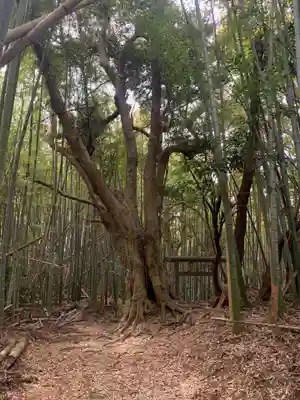 星神社(千葉県)