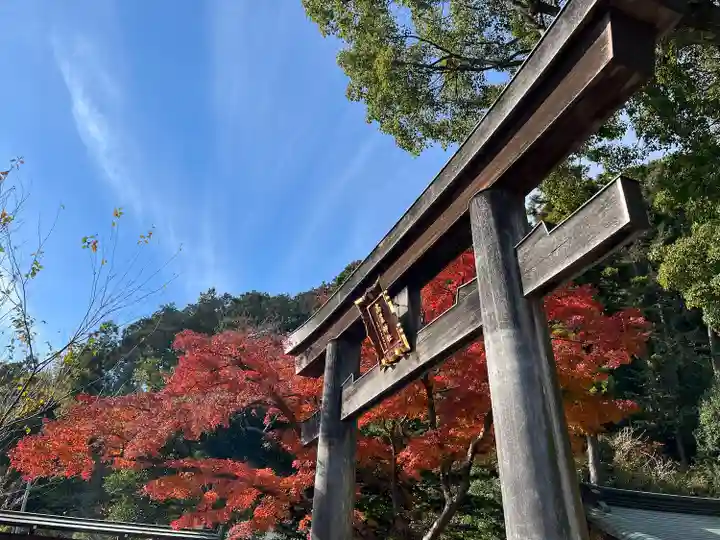 高麗神社(埼玉県)