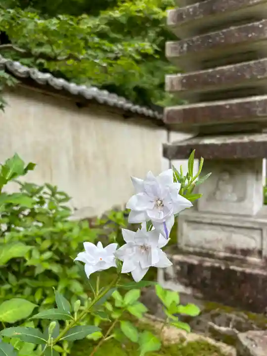 地蔵院(兵庫県)