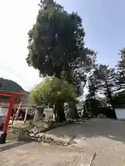 巖島神社(鹿児島県)