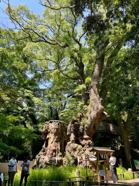 來宮神社(静岡県)