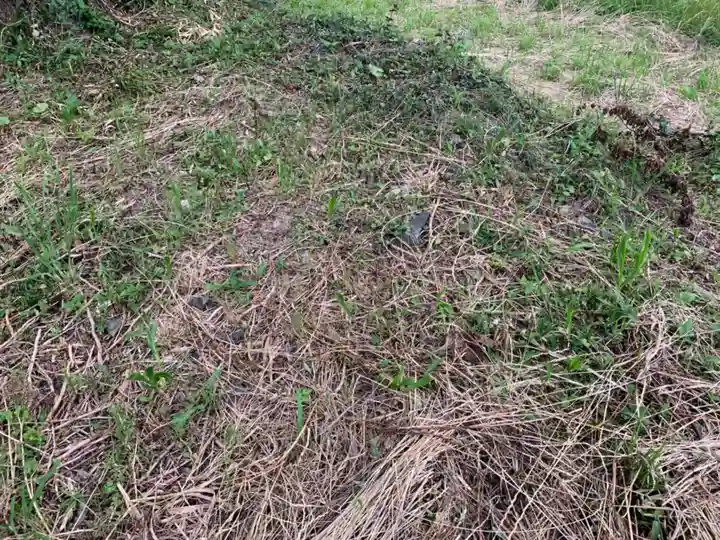 神社跡(千葉県)