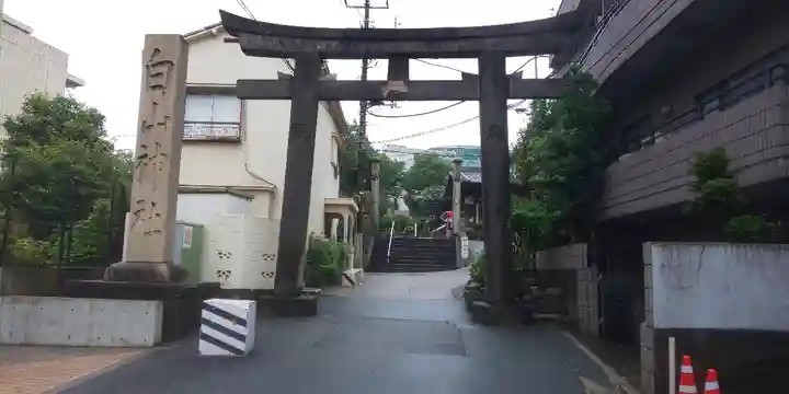 白山神社の鳥居