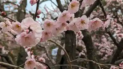 北野天満宮(京都府)