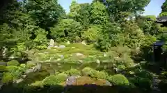 両足院の庭園